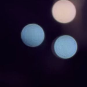 Meet your Posher, Lee